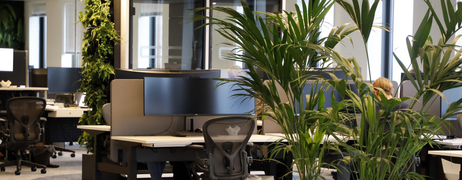 fairplay Referral Bonus, fairplay official, fairplay official login, fairplay official register